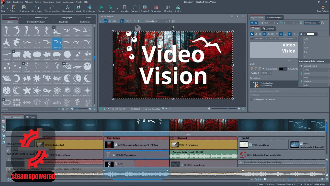 AquaSoft Video Vision