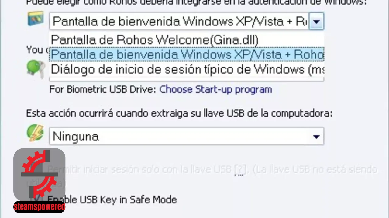 Rohos Logon Key