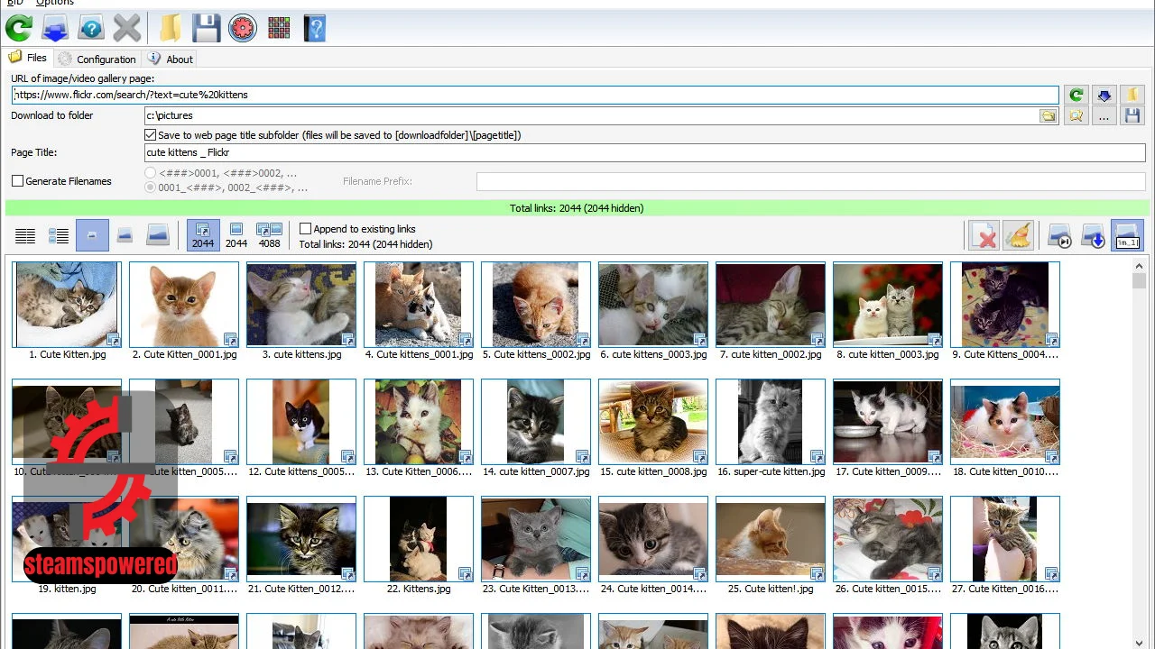 Bulk Image Downloader