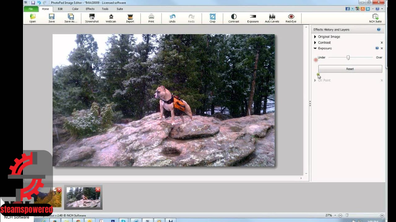 NCH PhotoPad Image Editor Pro