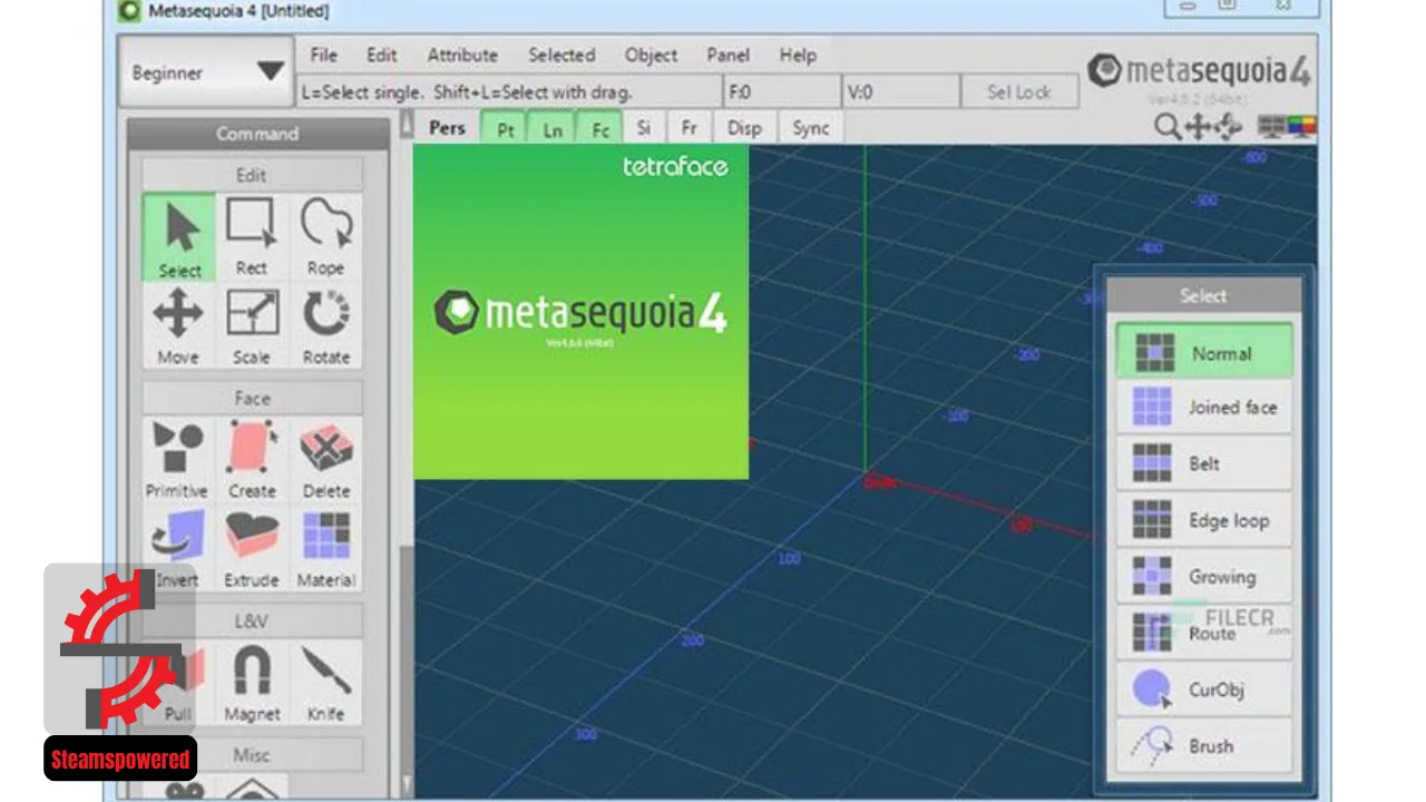 Tetraface IncTetraface Inc Metasequoia